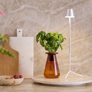 Share Lettuce Grow | Grow Lamp